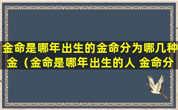 金命是哪年出生的金命分为哪几种金（金命是哪年出生的人 金命分为哪几种）